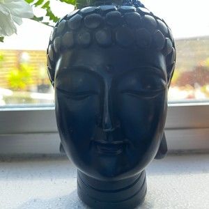 Meet your Posher, Katina